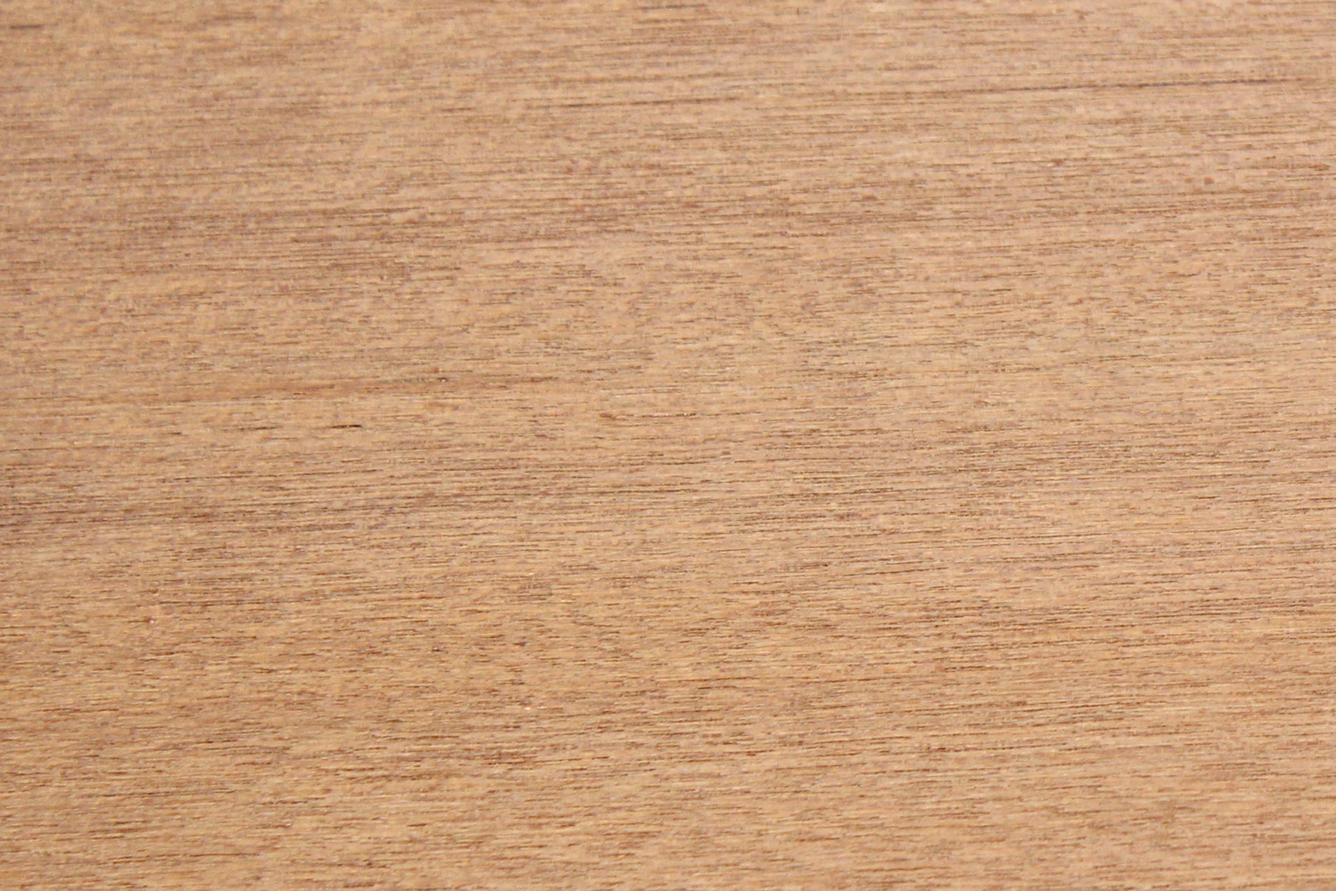 Keruing International Timber