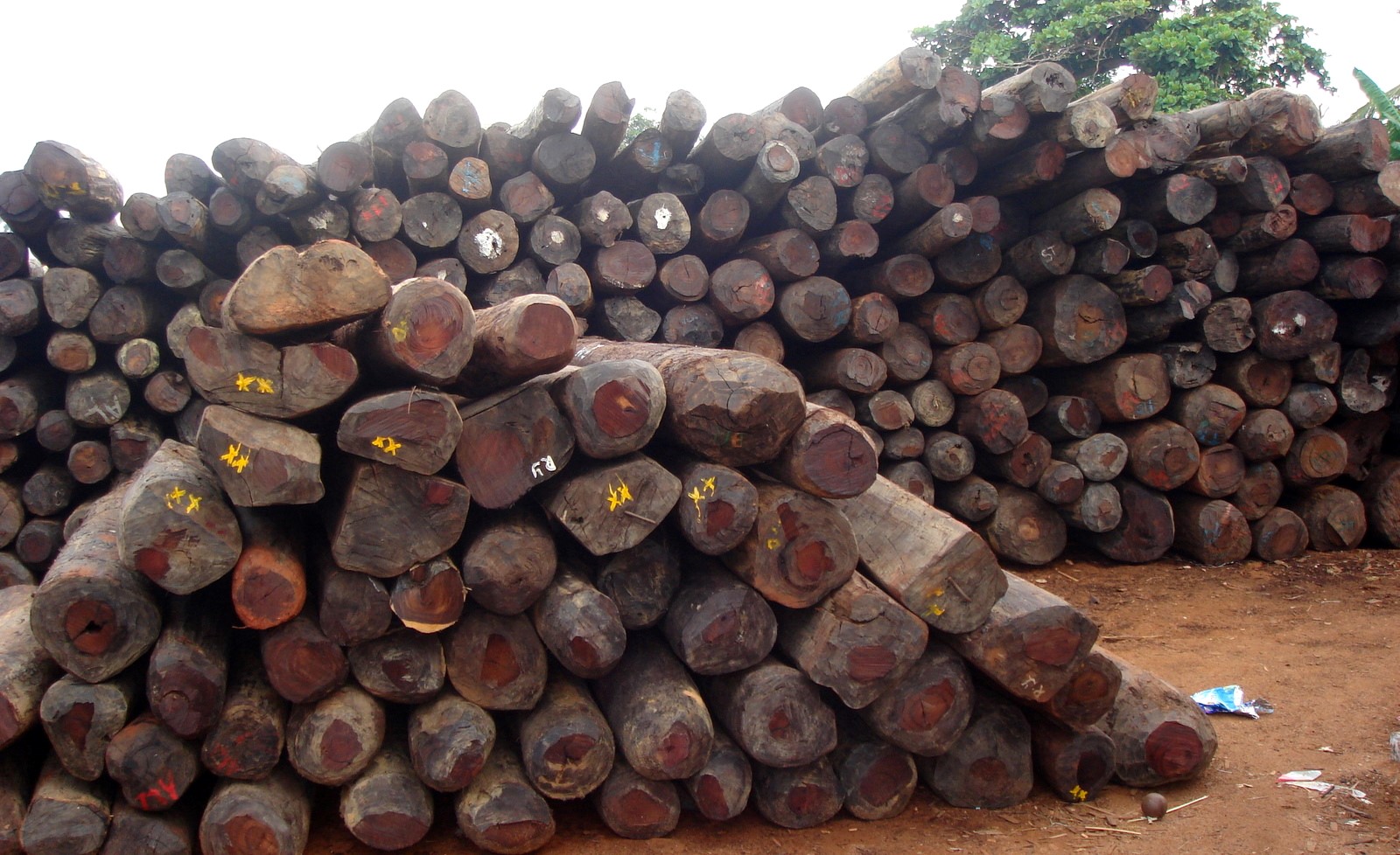 What Joinery Companies Need to Know About EU Timber Regulations ...
